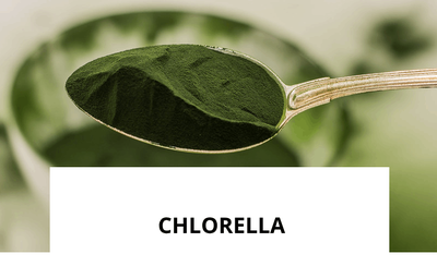 ingredience-chlorella.png