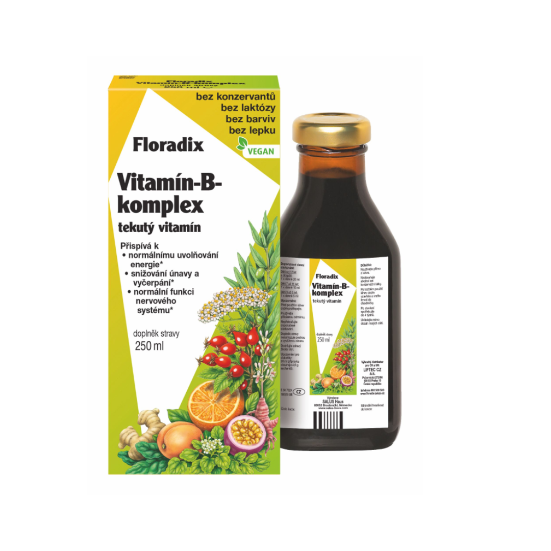 SALUS Floradix Vitamin-B-komplex 250 ml