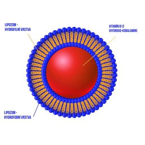 Lipozomální vitamín B12