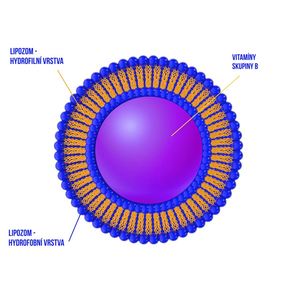 Lipozomální vitamín B komplex