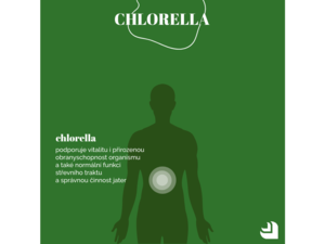 Chlorella, spirulina, zelený ječmen