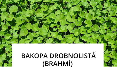 liftea-brahmi.png