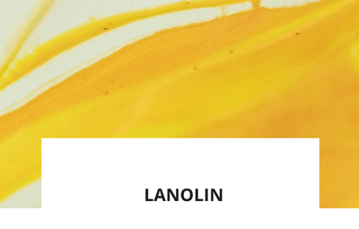 ingredience-lanolin.png