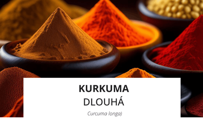 ingredience-kurkuma-dlouha.png