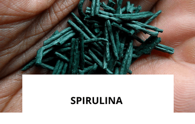 ingredience-spirulina.png