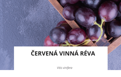 ingredience-vinna-reva.png