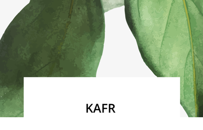 sunlife-kafr.png