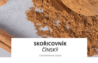 ingredience-skoricovnik.png