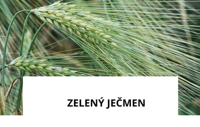 ingredience-zeleny-jecmen.png