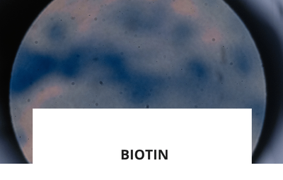ingredience-biotin.png