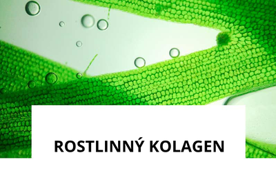 ingrediente-rostlinny-kolagen.png