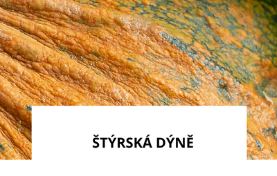 ingredience-styrska-dyne.png