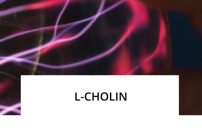 liftea-lcholin.png