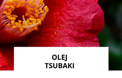 ingredience-olej-tsubaki.png