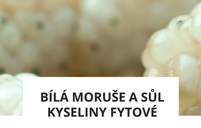 ingredience-bila-moruse-fytova.png