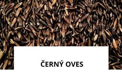 ingredience-cerny-oves.png