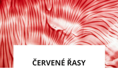 ingredience-cervene-rasy-(1)_1.png