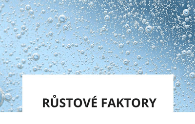 ingredience-rustove-faktory.png