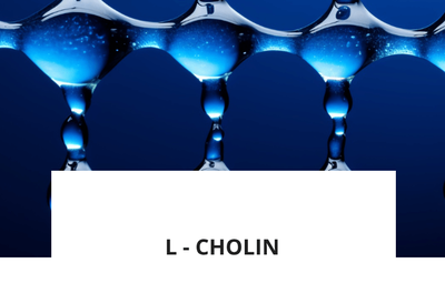 ingredience-l-cholin.png