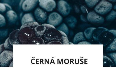 ingredience-cerna-moruse.png