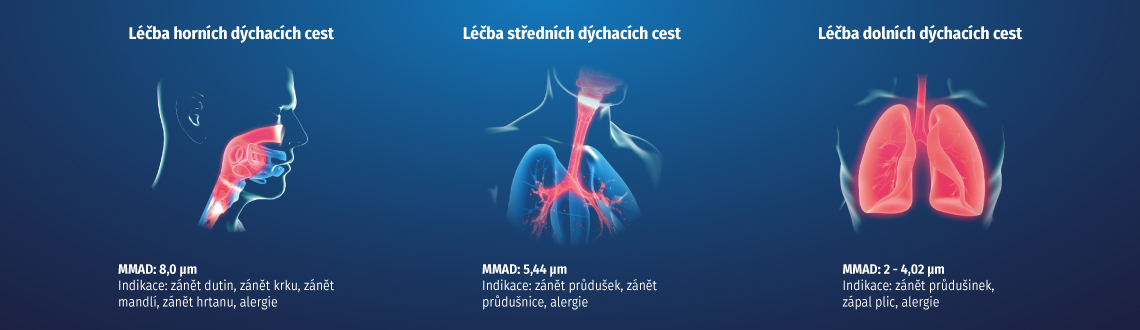 5-banner-(1).jpg 5-banner-(1).jpg