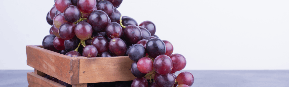 grapes-blog1.png