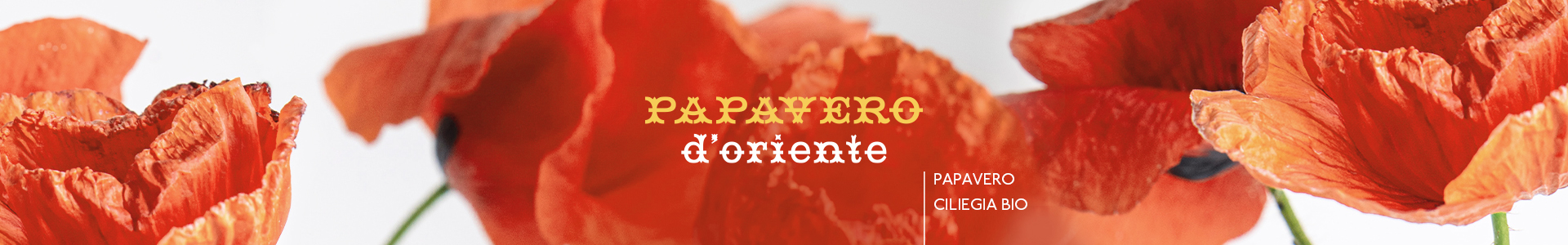 Papavero-dOriente-1920x300-010921.jpg