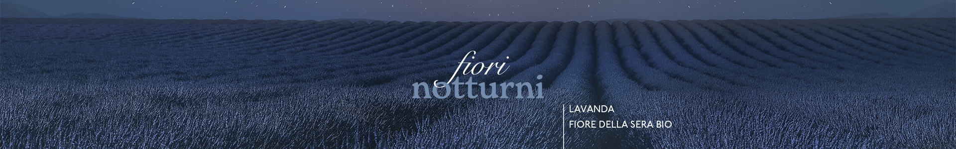 Fiori-Notturni-1920x300-010921.jpg