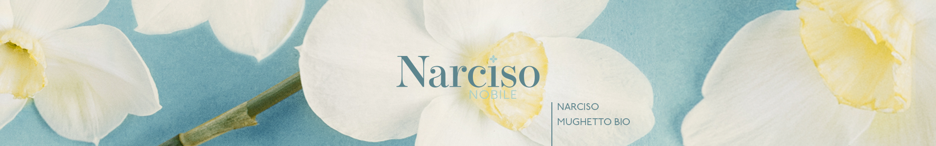 Narciso-Nobile-1920x300-040920-2.jpg