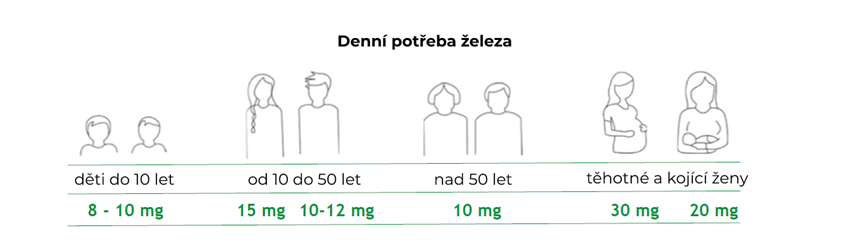 denni-potreba-zeleza-(1).png