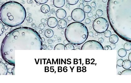 Vitamins-B1,-B2,-B3.jpg