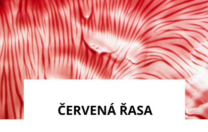 Red-algae.png Red-algae.png