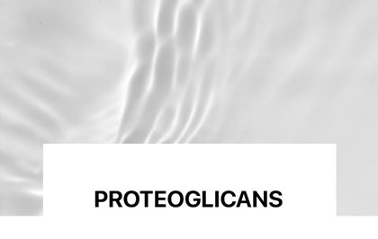Proteoglicans.jpg Proteoglicans.jpg